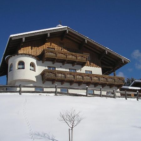 Haus Oberhaslach Apartment Abtenau Ngoại thất bức ảnh